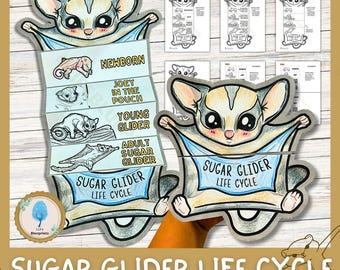 Sugar Glider Life Cycle Activity for Kids | Foldable Craft | Australian Animal Unit Study | Cut & Paste | Digital Download | A4 size