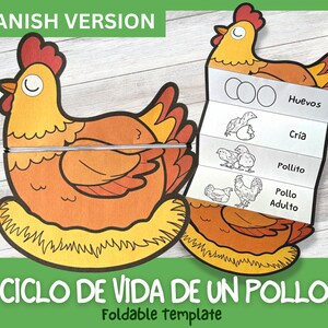 SPANISH Hühnerlebenszyklus Lernaktivität für Kinder | A4 und 11x22 cm | Digitaler Download | Montessori lernen