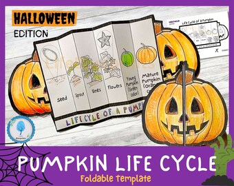 Activité pédagogique pliable sur le cycle de vie de la citrouille pour enfants | Halloween | Étude de la nature | Automne Automne | Action de grâces | Effrayant | Téléchargement numérique