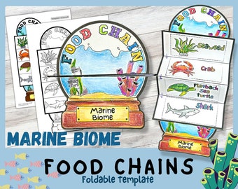 Marine Food chains foldable kids' craft | Snow Globe | Food Web Printable | Ocean Food Chain | A4 and 11x8.5 inch | Science Activity |