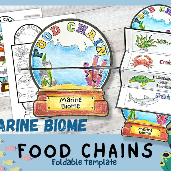 Marine Food chains foldable kids' craft | Snow Globe | Food Web Printable | Ocean Food Chain | A4 and 11x8.5 inch | Science Activity |