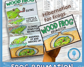 Frog Brumation | Hibernation Foldable Activity | Reptiles Hibernation | Montessori Classroom | Interactive Science Printable Craft | A4 Size