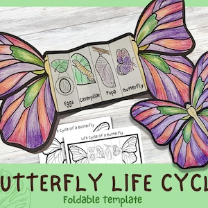 Foldable Butterfly Life Cycle Learning Activity For Kids | A4 and 11x8.5 inch | Digital Download | Montessori Kids Learning