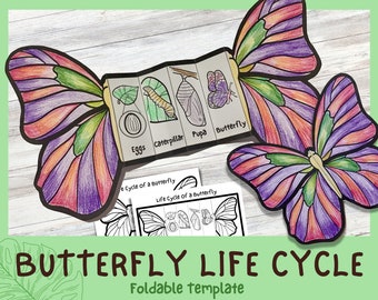 Foldable Butterfly Life Cycle Learning Activity For Kids | A4 and 11x8.5 inch | Digital Download | Montessori Kids Learning