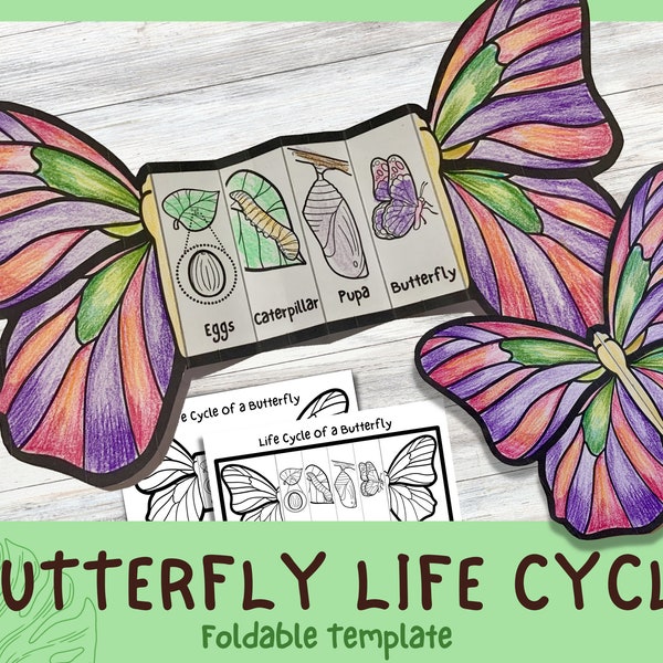 Foldable Butterfly Life Cycle Learning Activity For Kids | A4 and 11x8.5 inch | Digital Download | Montessori Kids Learning