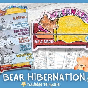 May include: A colorful foldable template titled "Bear Hibernation." The template shows a bear in a bed and stages of hibernation: eating, finding a den, making a bed, light sleep, deep sleep, and waking up. The design includes a cute bear illustration.