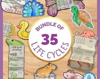 Foldable Life Cycle Bundle of 35 Templates | Discounts with Bundle | Learning Activity For Kids | A4 and 11x8.5 inch | Digital Download |
