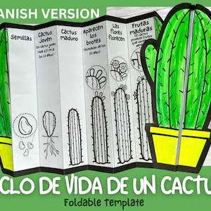 SPANISH Life Cycle of a Cactus Plant | Foldable Life Cycle Craft | Digital Download | Montessori Kids Learning | A4 and 11x8.5 inch |