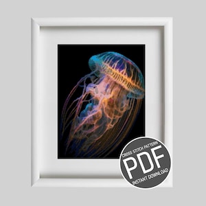 Cross Stitch Pattern Jellyfish / Cross stitch pattern Jellyfish pattern