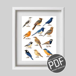 Cross Stitch Pattern Birds Poster / Cross stitch pattern Birds Poster