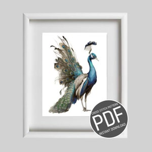 Cross Stitch Pattern: Peacock / Peacock cross stitch pattern