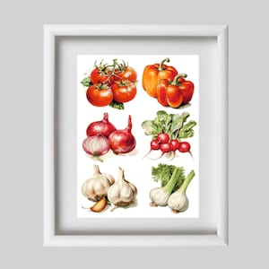 Peut inclure: Une illustration encadrée de différents légumes, dont des tomates rouges, des poivrons rouges et verts, des oignons rouges, des radis rouges et de l'ail blanc.