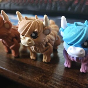 Mini Highland Cows