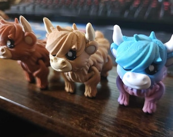Mini Highland Kühe