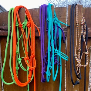 Clinician style stiff rope halters