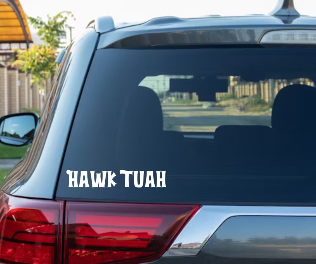 Hawk Tuah Spit On That Thang Funny Meme Bumper Sticker | Viral Meme Decal | Meme Laptop Sticker, Car Decal, Notebooks Graphic | Made In USA (Style I - Foto 7