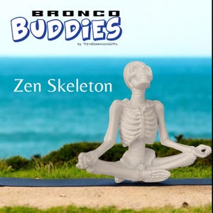 Bronco Buddies - Zen Skeleton