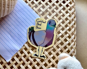 Certified Bird Brain Sticker