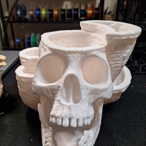 May include: A white skull-shaped planter with multiple openings for plants. The planter has a detailed design, including eye sockets, a nose cavity, and a jaw. The skull is made of a solid material and is suitable for home decor.
