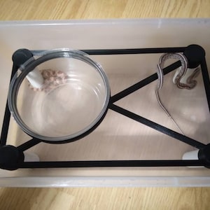 Arboreal snake perch and water bowl holder