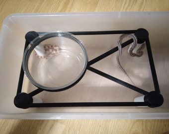 Arboreal snake perch and water bowl holder