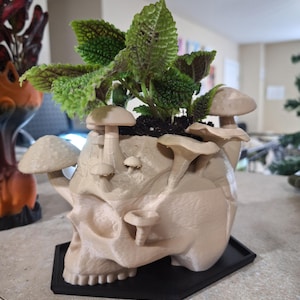 Skull & Mushroom Planter with Drip Tray – Creepy Skull Plant Pot – Gothic Home Decor – Oddities Desk Planter – 3D Printed Skull Pot