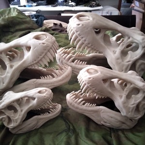 T Rex skull replicas