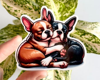 Boston Terrier Sticker, Brown and Black Boston Terrier Sticker