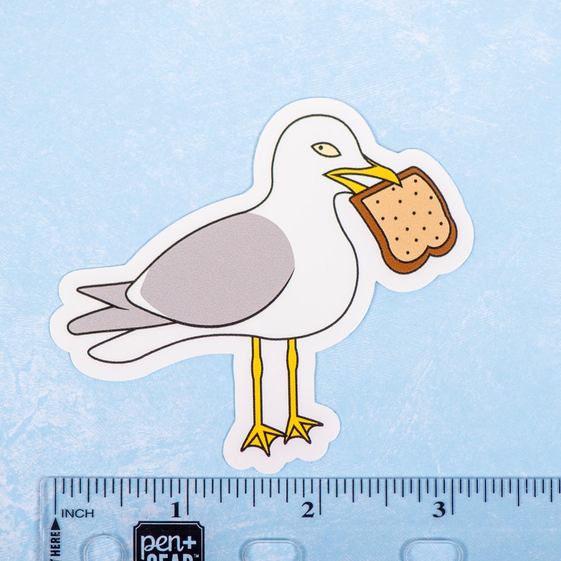 Seagull Ruler Seagull Vinyl Sticker: Funny Bird Meme, Beach Decor - Etsy
