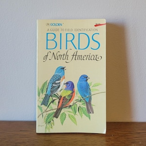 Vintage 1966 Golden Books A Guide to Identification Birds of North America