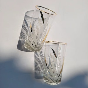 Könnte beinhalten: Zwei klare Glas-Trinkgläser mit goldfarbenem Rand und einem weißen Blattdesign.