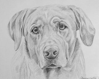 ビーグル オリジナル色鉛筆画 - 犬のアート - ポートレートサイズ