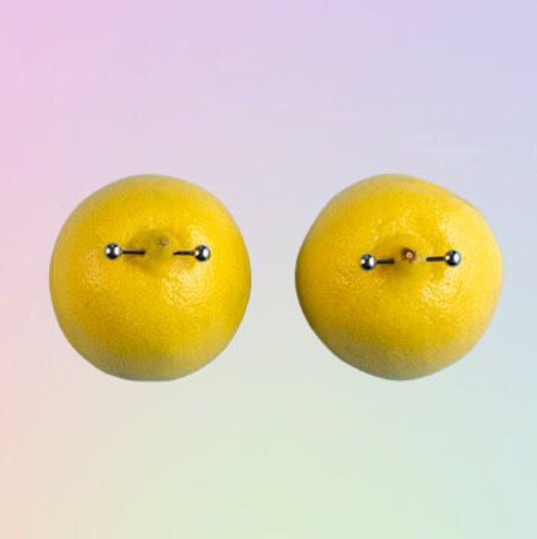 Straight Barbell Nipple Piercing Bridge Piercing Basic Etsy