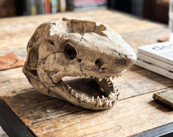 Posacenere a forma di teschio di squalo Megalodon, decorazione nautica vintage, statuetta gotica industriale, regalo originale per fumatori, arte marittima, teschio