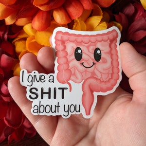 I Give a S* Pun Die Cut Water-Resistant Sticker | Funny Sticker | Care Sticker | Hand Drawn Sticker