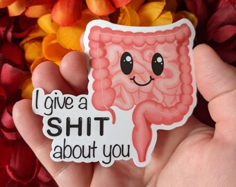 I Give a S* Pun Sticker | Funny Colon, Water-Resistant Decal