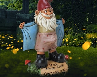Sexy Garden Gnome - Etsy