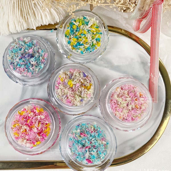 Japanese Style Mixed Color Dried Flower Floral Nail Art Decoration/Nail Art DIY Real Petals Jewelry