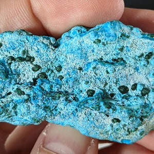 Chrysocolla w/ Balls of Malachite - Top Class Color!