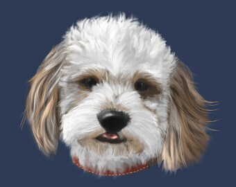 May include: A white and brown fluffy dog with a red collar, looking directly at the camera.