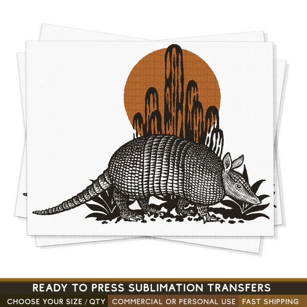 Armadillo - Etsy