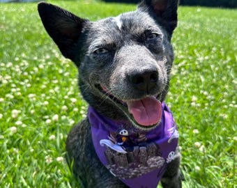 Skeleton Groom Purple & Navy Dog Bandanas | Puppy | Halloween | Christmas