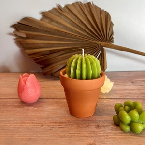 May include: A green cactus shaped candle in a terracotta pot, a pink tulip shaped candle, and a green succulent shaped candle on a wooden surface.