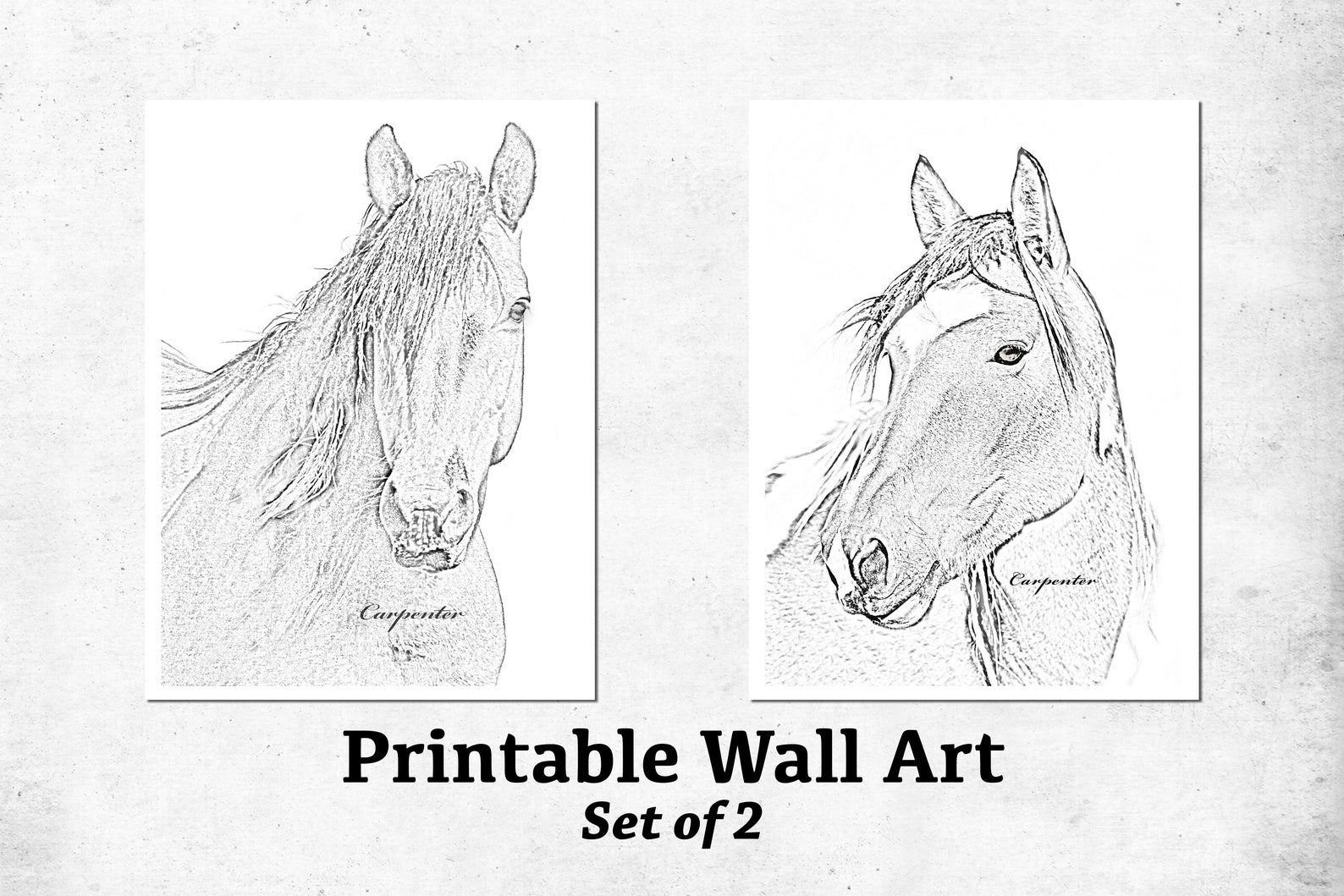 Horse Wall Art Set Print Your Own Digital Download Wall - Etsy