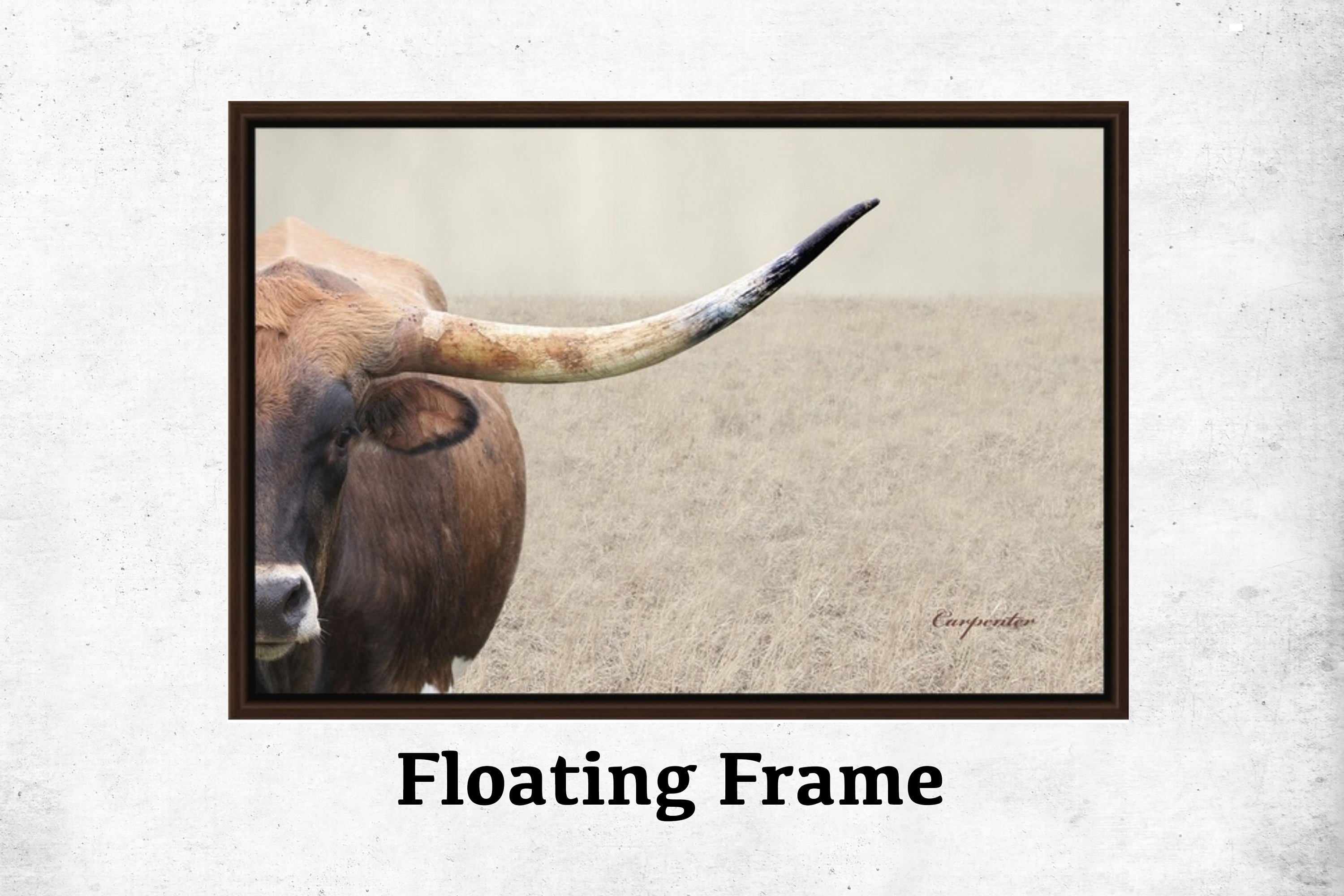 Framed Longhorn Cow Canvas Wrap, Wall Art, Float Frame, Framed Canvas, Farmhouse Decor, Cowboy Decor