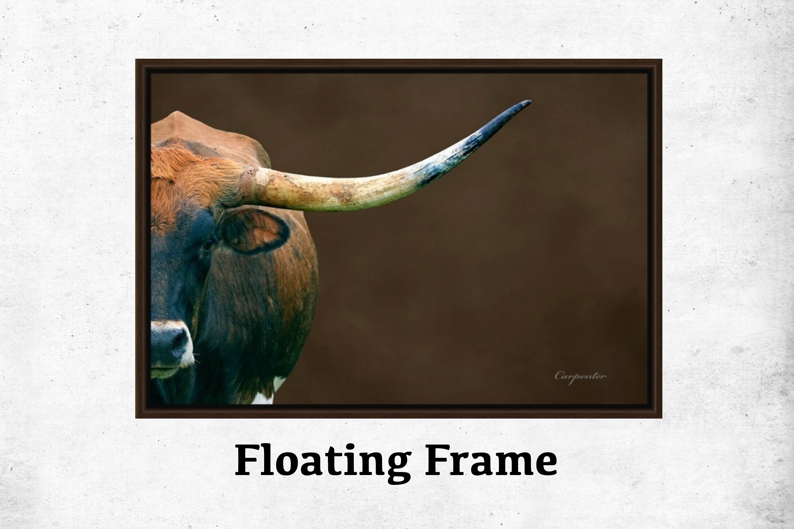 Framed Longhorn Cow Wall Art, Float Frame, Framed Canvas, Farmhouse Decor, Cowboy Decor