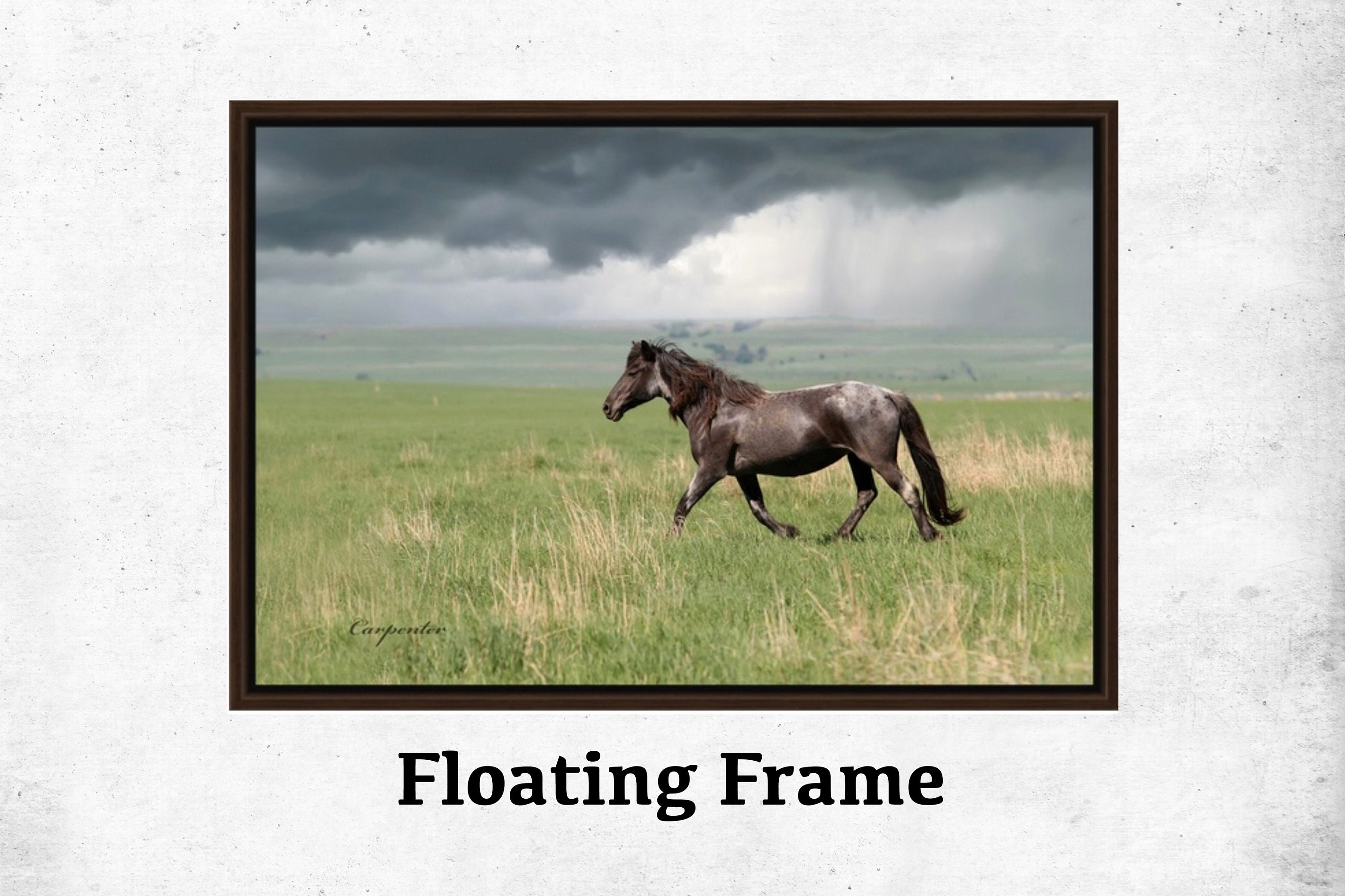 Framed Wild Mustang Horse, Canvas Wall Art, Gallery Wrap Canvas In Floating Frame, Wild Horse Photo Print Decor, Farmhouse Decor