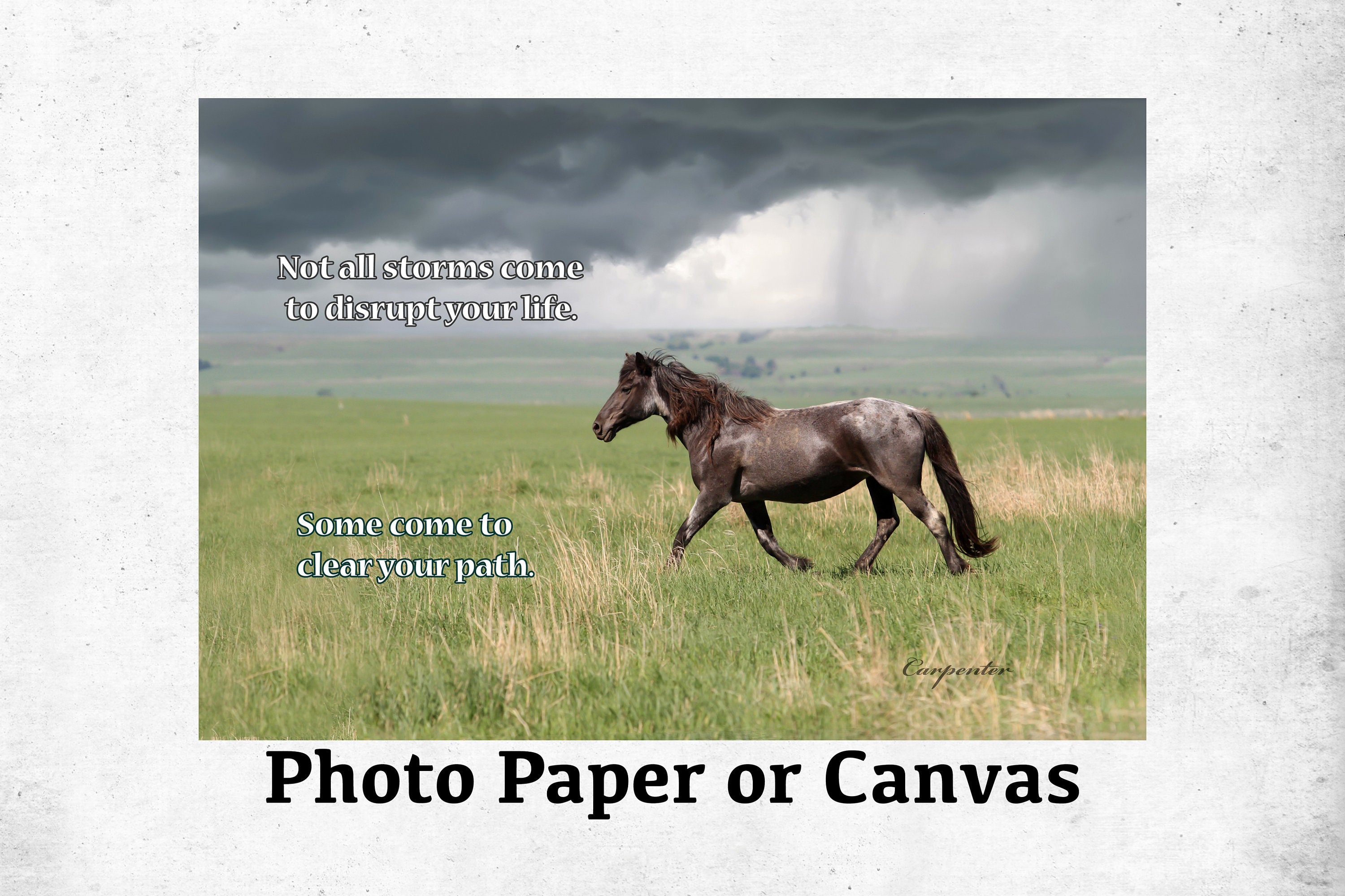 Inspirational Horse Wall Art, Wild Mustang Horse, Canvas Wall Art, Gallery Wrap Canvas, Wild Horse Photography Art