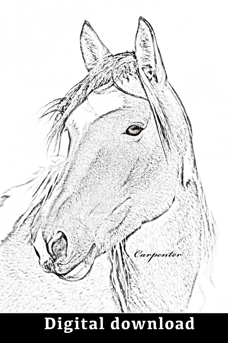 Horse Wall Art Set Print Your Own Digital Download Wall Etsy