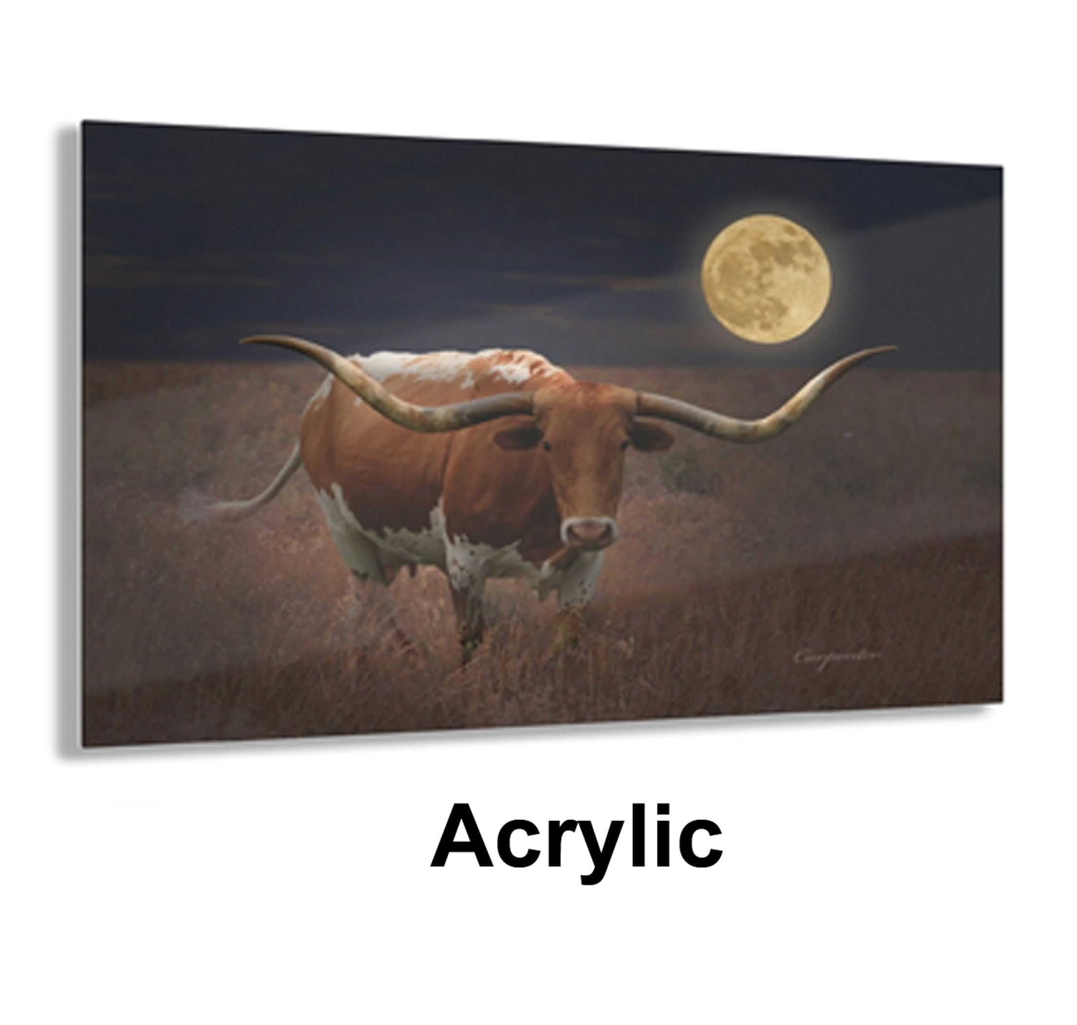 Longhorn Acrylic Wall Art, Acrylic Print, Texas Longhorn Cow In Moonlight, Wall Art, Cowboy, Farmhouse, Modern, Wall Decor